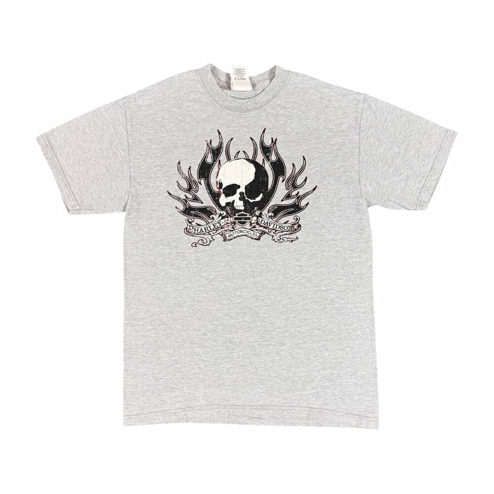 Vintage Y2K Harley Davidson Richmond VA Skull Flames Gray Graphic T-Shirt Size M
